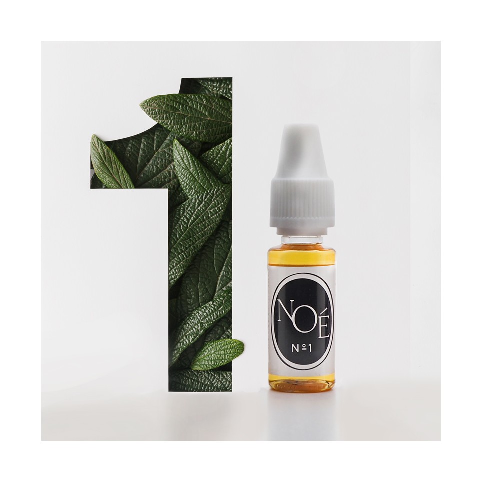 chargement de l'image